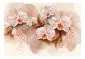 Fototapeta - Herbaciane orchidee-2