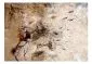 Fototapeta - Oddech wiatru-2
