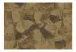 Fototapeta - Kamienne płatki-2