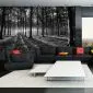 Fototapeta - The Light in the Forest-1