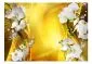 Fototapeta - Orchidea w złocie-2