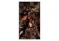 Fototapeta - Czas wyryty w drzewie-2