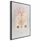 Plakat Tajemnicze drzewko 60x90 cm z ramą czarną bez marginesu | MIRAT.