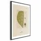 Plakat abstrakcyjne drzewo 60 x 90 cm z ramą czarną | MIRAT. kolekcja b-A-0396-ao-a