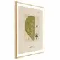 Plakat abstrakcyjne drzewo 40 x 60 cm z ramą złotą | MIRAT. kolekcja b-A-0396-ao-a