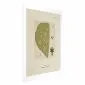 Plakat Abstrakcyjne drzewo 29,7x42cm bez ramy z marginesem | MIRAT. kolekcja b-A-0396-ao-a
