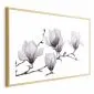 Plakat Malowane magnolie 60x40 cm z ramą złotą z marginesem | MIRAT.