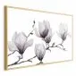 Plakat Malowane magnolie 30x21 cm z ramą złotą bez marginesu | MIRAT.