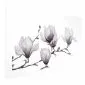 Plakat Malowane magnolie 60x40 cm bez ramy z marginesem | MIRAT.