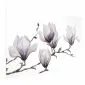 Plakat Malowane magnolie 60x40 cm bez ramy bez marginesu | MIRAT.