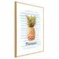 Plakat Ananas i paski 29,7x42cm z ramą złotą z marginesem | MIRAT. kolekcja b-B-0348-ao-a