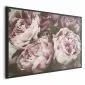 Plakat Różowe piwonie 90x60 cm z ramą czarną bez marginesu | MIRAT.