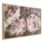 Plakat Różowe piwonie 60x40 cm z ramą złotą bez marginesu | MIRAT.