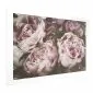 Plakat Różowe piwonie 30x21 cm bez ramy z marginesem | MIRAT.