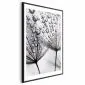 Plakat Rosa 21x30 cm z ramą czarną z marginesem | MIRAT.