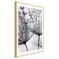 Plakat Rosa 29,7x42 cm z ramą złotą z marginesem | MIRAT.
