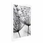 Plakat Rosa 60x90 cm bez ramy z marginesem | MIRAT.