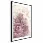 Plakat Delikatne piwonie 60x90 cm z ramą czarną z marginesem | MIRAT.