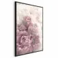 Plakat Delikatne piwonie 40x60 cm z ramą czarną bez marginesu | MIRAT.