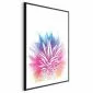 Plakat Kolorowy ananas 40x60 cm z ramą czarną z marginesem | MIRAT.