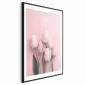 Plakat Sześć tulipanów 60x90 cm z ramą czarną z marginesem | MIRAT.