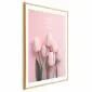 Plakat Sześć tulipanów 40x60 cm z ramą złotą z marginesem | MIRAT.