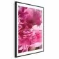 Plakat Piękne piwonie 21x30 cm z ramą czarną z marginesem | MIRAT.