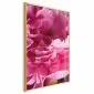 Plakat Piękne piwonie 21x30 cm z ramą złotą bez marginesu | MIRAT.