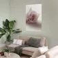 Plakat Różany cień 40x60 cm bez ramy bez marginesu | MIRAT.