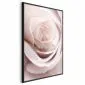 Plakat Porcelanowa róża 29,7x42 cm z ramą czarną bez marginesu | MIRAT.