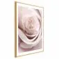 Plakat Porcelanowa róża 21x30 cm z ramą złotą z marginesem | MIRAT.
