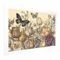 Plakat Kolorowe tulipany 90x60 cm bez ramy z marginesem | MIRAT.