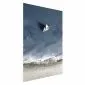 Plakat Jacht 60x90 cm bez ramy bez marginesu | MIRAT.