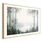 Plakat Lasek i staw 90x60 cm z ramą złotą z marginesem | MIRAT.