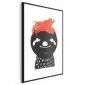 Plakat Szalony leniwiec 40x60 cm z ramą czarną z marginesem | MIRAT.