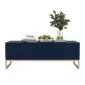 Stolik kawowy TAL 3D 110x54cm granatowy mat/gold ze schowkiem I sklep meblowy MIRAT. styl GLAMOUR, RYFLOWANY kolekcja TAL