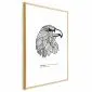 Plakat Orzeł wolności 21x30 cm z ramą złotą z marginesem | MIRAT.