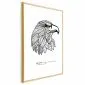 Plakat Orzeł wolności 21x30 cm z ramą złotą bez marginesu | MIRAT.