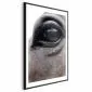 Plakat Szczere oczy 21x30 cm z ramą czarną z marginesem | MIRAT.