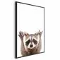 Plakat Szop 40x60 cm z ramą czarną bez marginesu | MIRAT.
