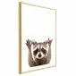 Plakat Szop 21x30 cm z ramą złotą z marginesem | MIRAT.
