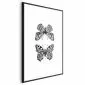 Plakat Dwa motyle 60x90 cm z ramą czarną bez marginesu | MIRAT.