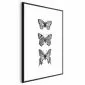 Plakat Trzy motyle 21x30 cm z ramą czarną z marginesem | MIRAT.