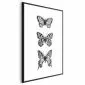Plakat Trzy motyle 60x90 cm z ramą czarną bez marginesu | MIRAT.
