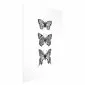Plakat Trzy motyle 21x30 cm bez ramy z marginesem | MIRAT.