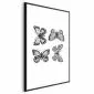 Plakat Cztery motyle 40x60 cm z ramą czarną bez marginesu | MIRAT.