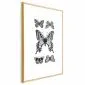 Plakat Pięć motyli 21x30 cm z ramą złotą bez marginesu | MIRAT.