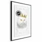 Plakat Król kot 60x90 cm z ramą czarną bez marginesu | MIRAT.
