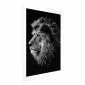 Plakat Niebieskooki lew 21x30 cm bez ramy z marginesem | MIRAT.