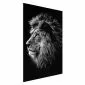 Plakat Niebieskooki lew 21x30 cm bez ramy bez marginesu | MIRAT.